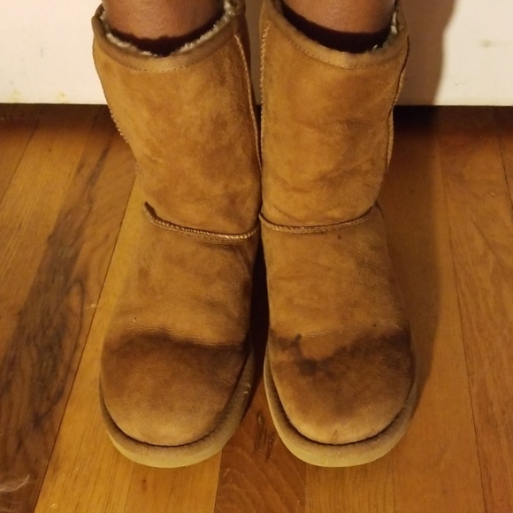 UGG Shoes - Ugg